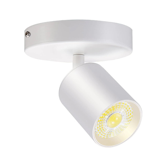 Flush Mount LED Ceiling Spotlight Dimmable, 10W 800lm 4000K