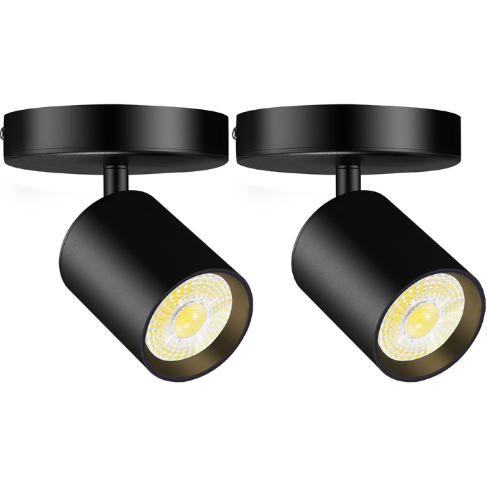 Flush Mount LED Ceiling Spotlight Dimmable 10W 3000K 2 Pack