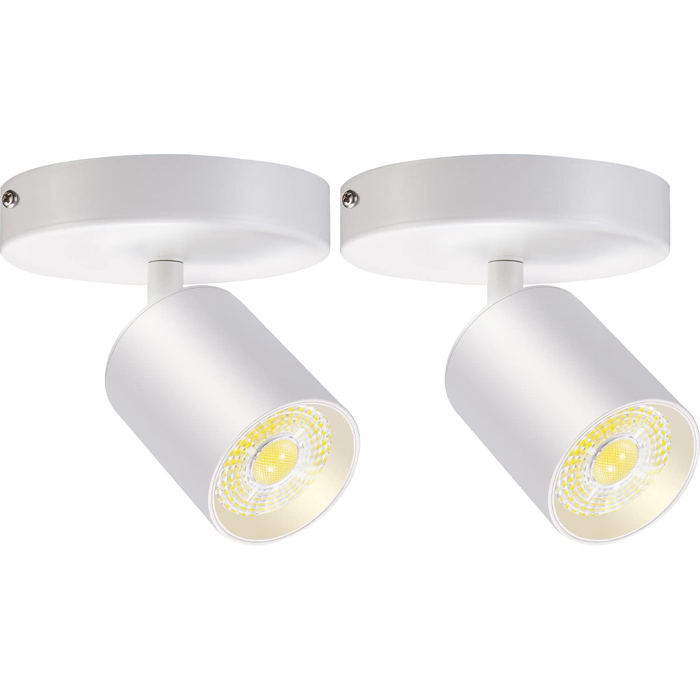 Flush Mount LED Ceiling Spotlight Dimmable 10W 3000K 2 Pack