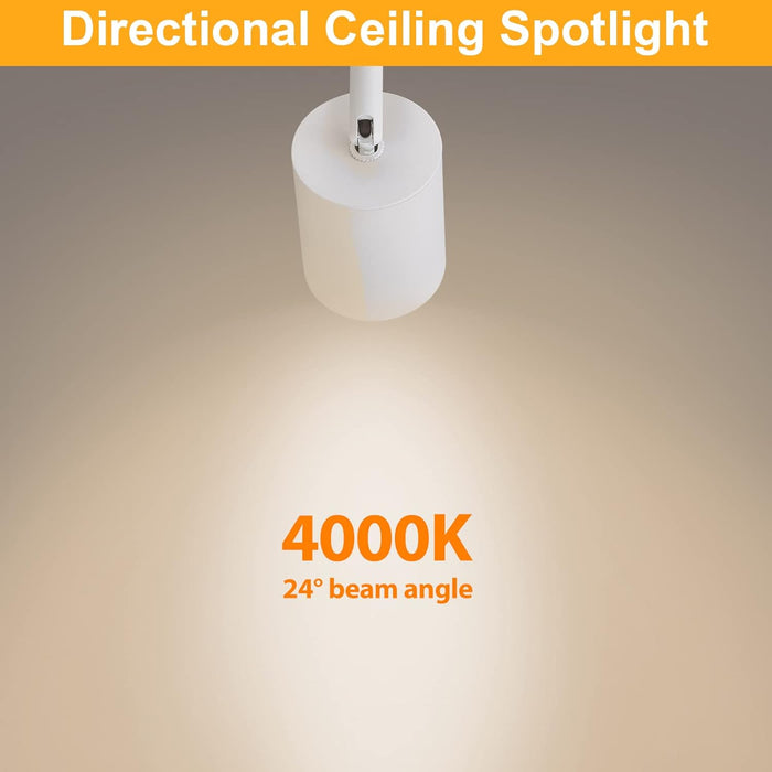 Flush Mount LED Ceiling Spotlight Dimmable, 10W 800lm 4000K