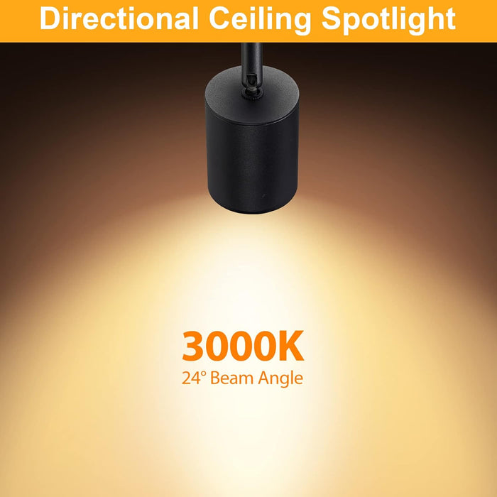 VANoopee Flush Mount LED Ceiling Spotlight Dimmable 10W 3000K Black 2 Pack
