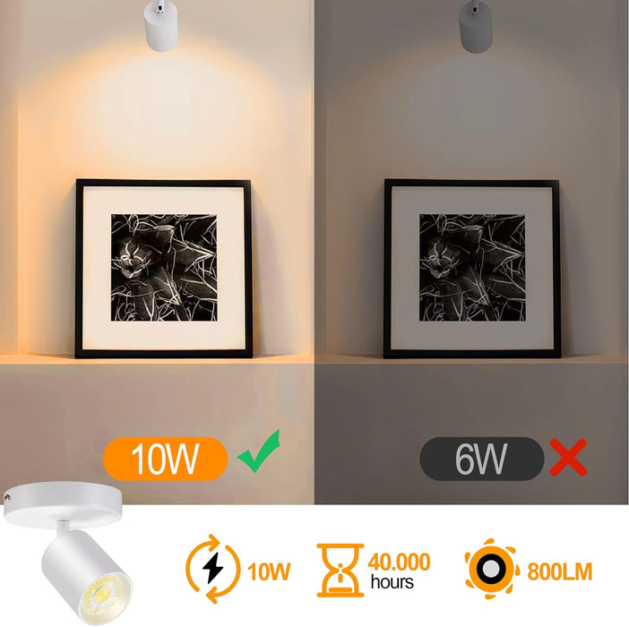 Flush Mount LED Ceiling Spotlight Dimmable, 10W 800lm 3000K