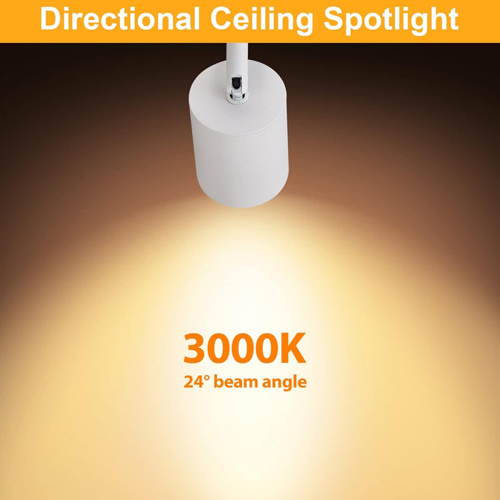 Flush Mount LED Ceiling Spotlight Dimmable, 10W 800lm 3000K