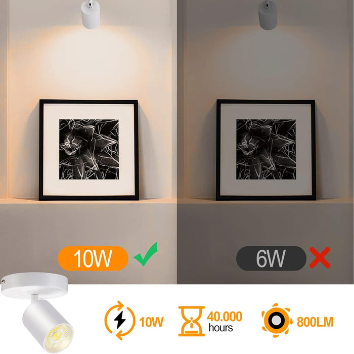 Flush Mount LED Ceiling Spotlight Dimmable, 10W 800lm 4000K