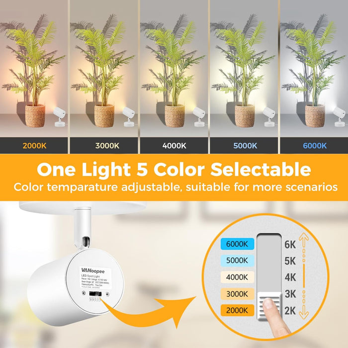 5 Color 10W LED Up Lights Indoor Spot Lights with Timer, Floor Spotlight Lamp with 5.9FT Plug Cord