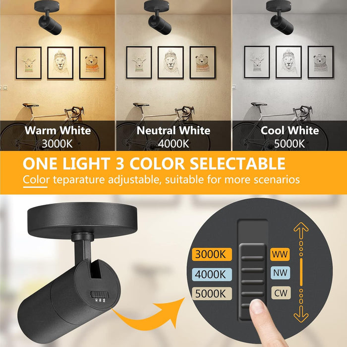 3-Color 10W LED Ceiling Spotlight Flush Mount Indoor