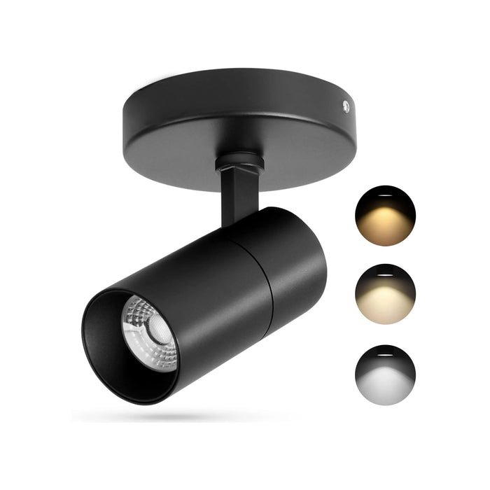 3-Color 10W LED Ceiling Spotlight Flush Mount Indoor