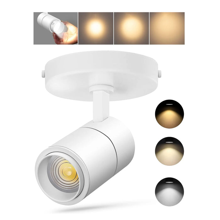 20W 3-Color Zoomable LED Ceiling Spotlight Flush Mount, 2000lm